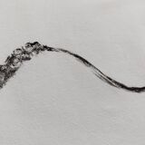 Original print of a squid