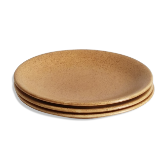 Sandstone plates