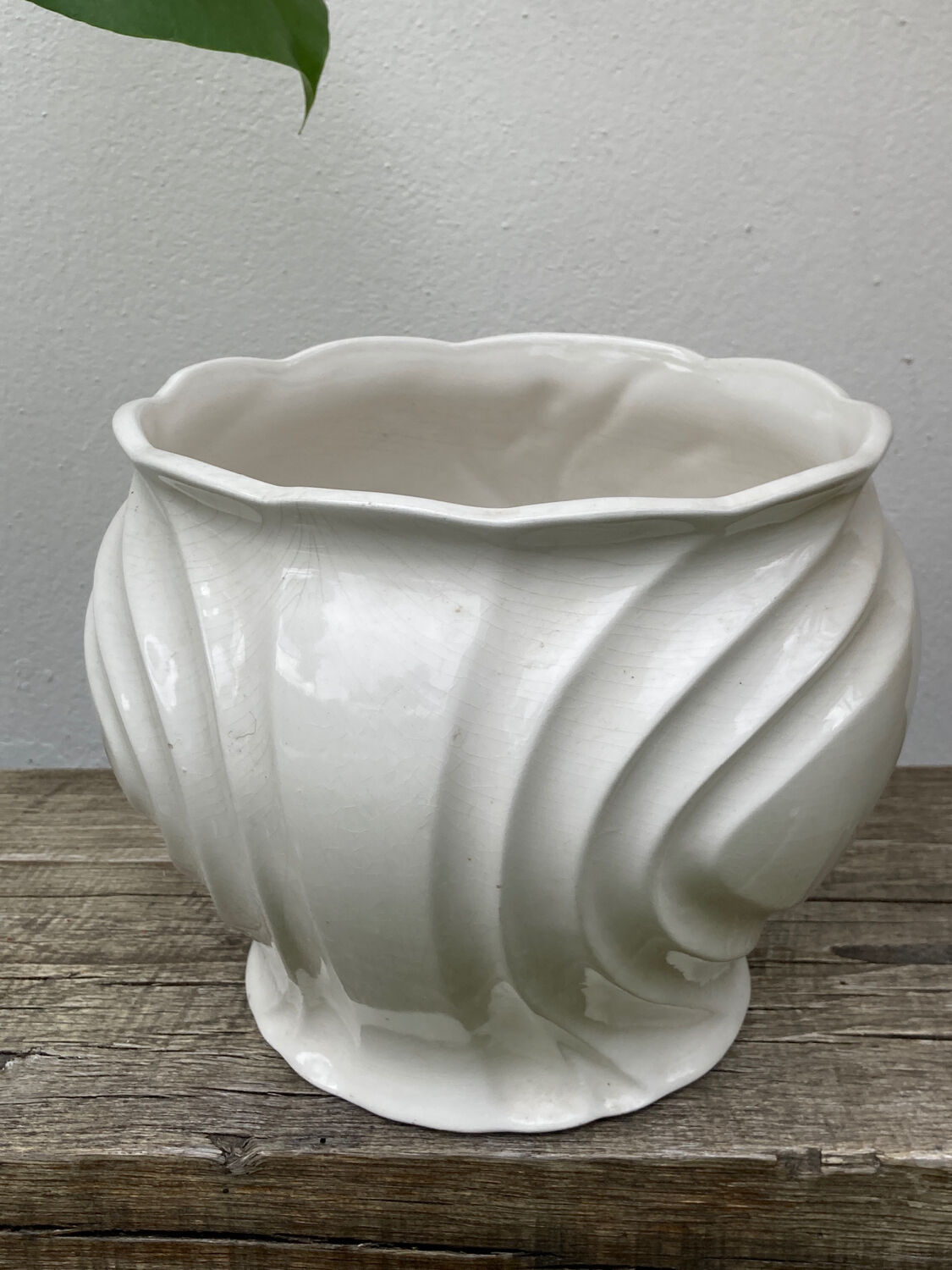 White ceramic pot cache of flower slip and old green foliage