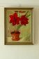 "Asiatic Lily" – Laws 1951