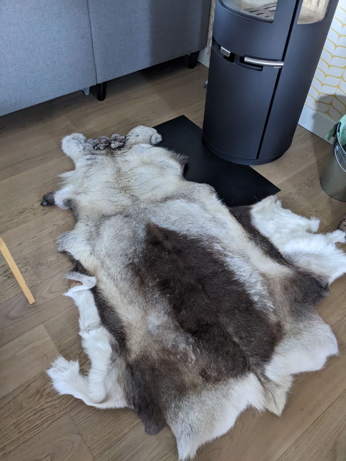 Reindeer skin rug