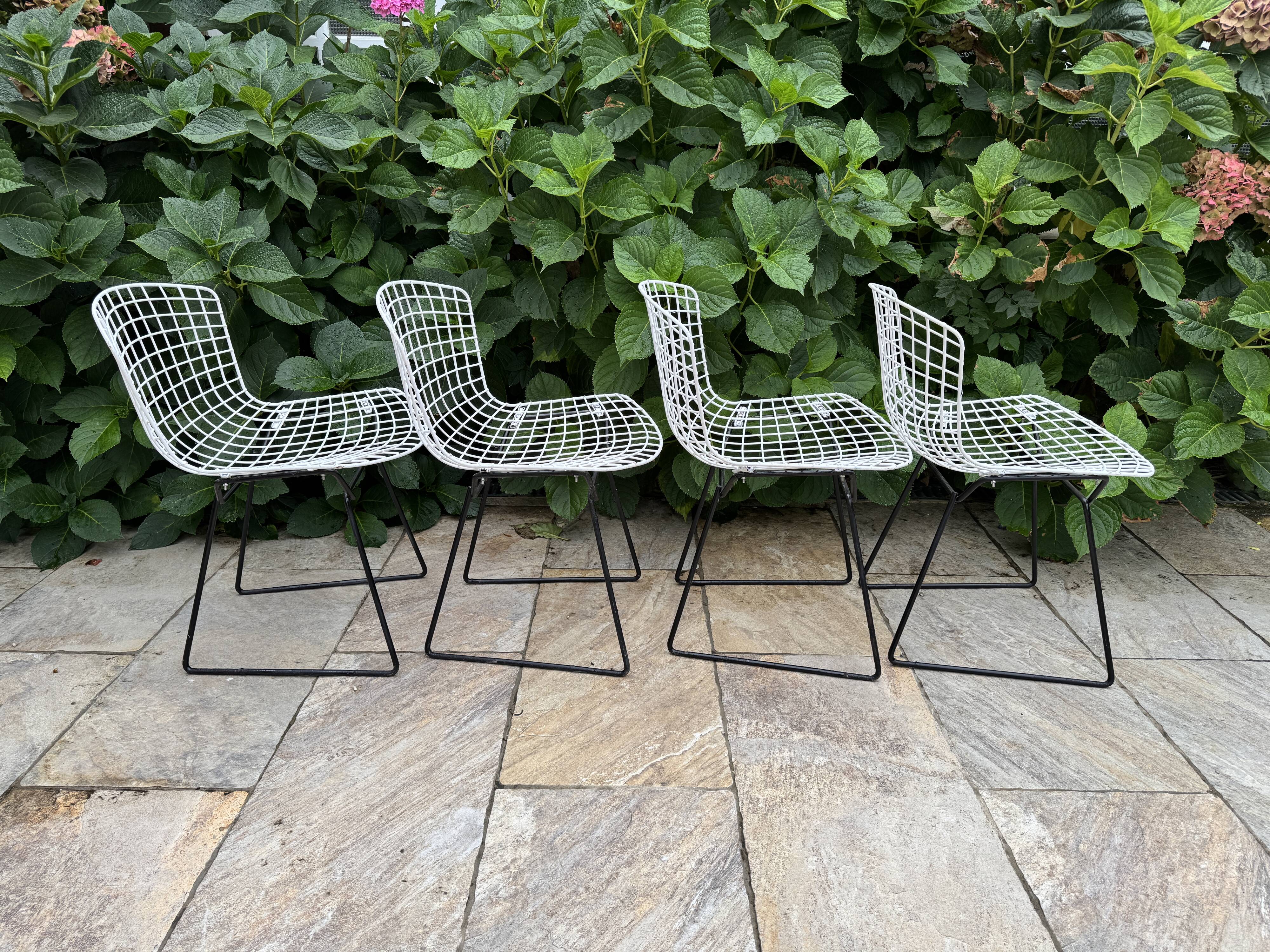 Chaise vintage Bertoia
