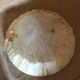 White stone onyx ashtray