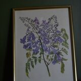 Framed jasmine botanical board