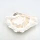 Natural white shell dish, 1970s.