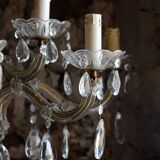 Grapevine chandelier