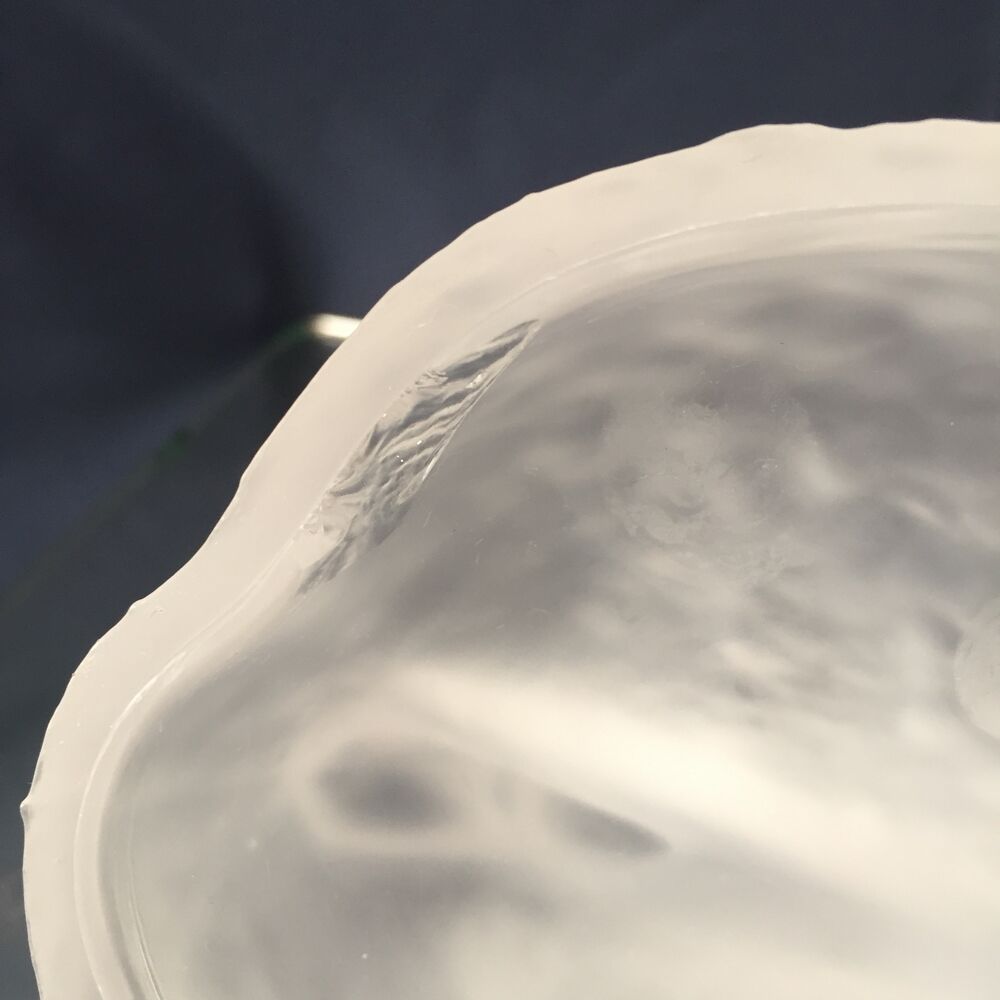 DUCK FROSTED GLASS BAG OR POCKET TRAY