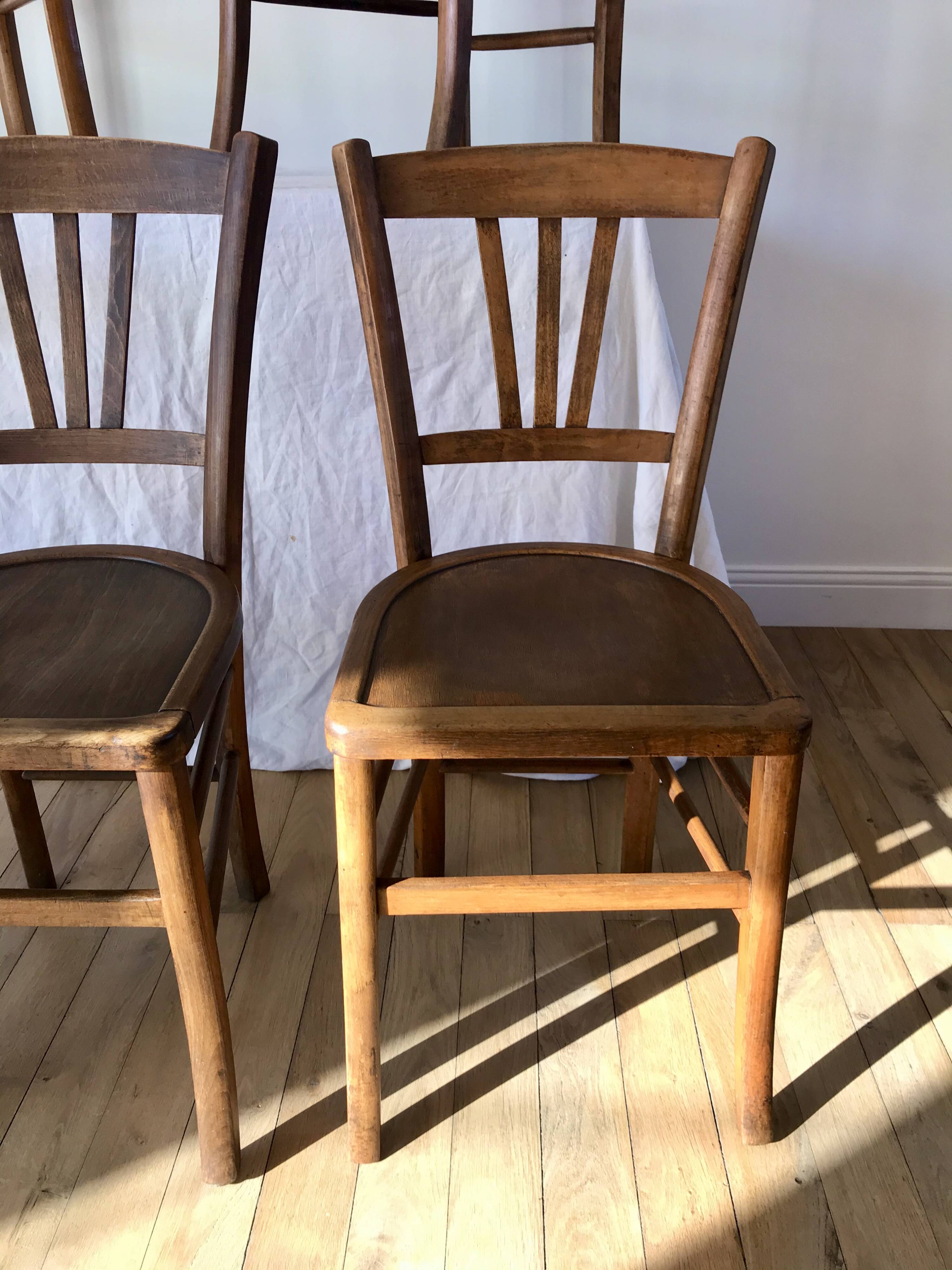 Set of 5 beech wood bistro chairs from the 1950s