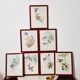 Lot de 7 chromolithographies oiseaux années 50