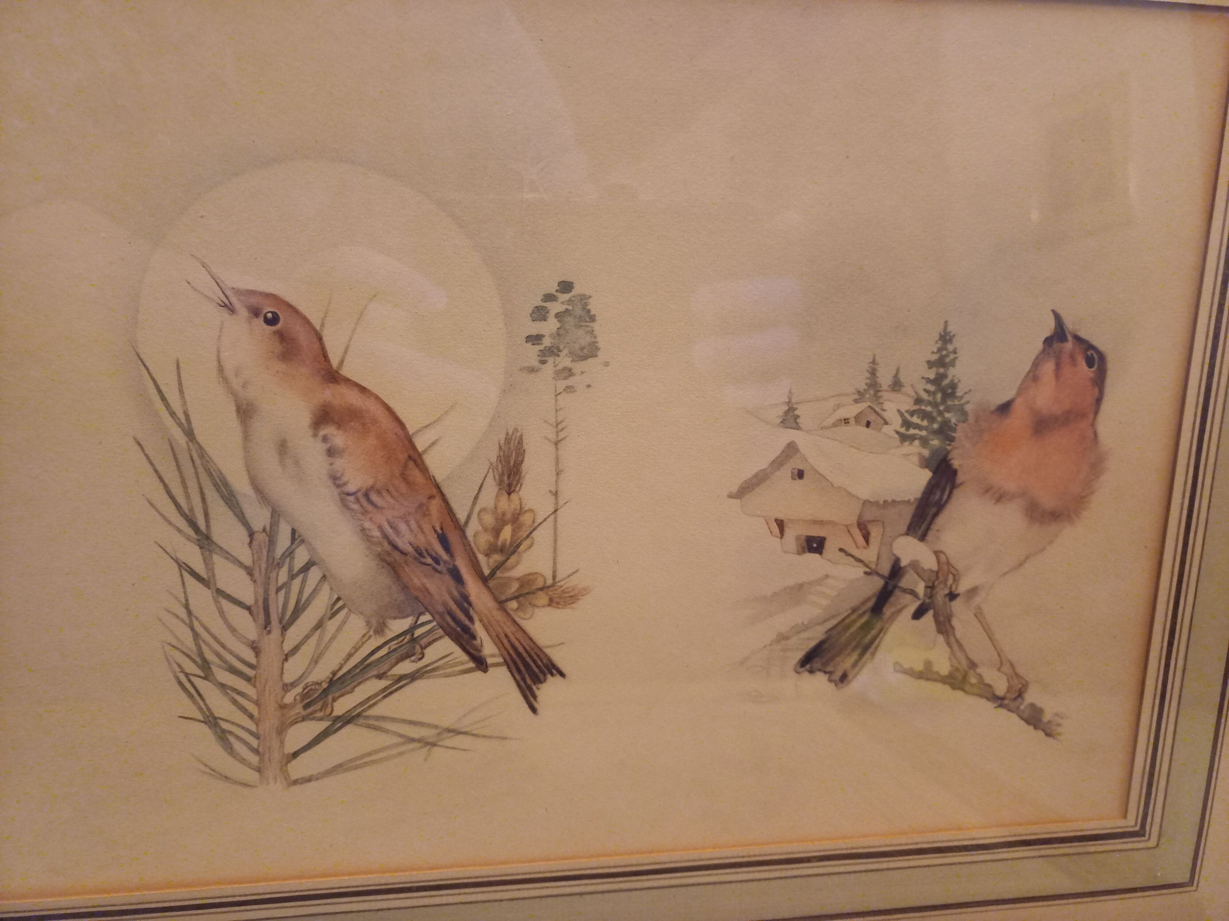 Lot 2 watercolors ancient birds