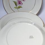 6 assiettes plates Gien Chevreuse