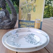 Old set of 2 terre de fer longwy dishes – bird and flower decoration