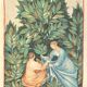 Vintage Lithography , The Sage Picking