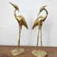 Couple large herons in polished golden brass