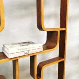 Vintage design wall unit Ludvik Volak room divider Drevopodnik Holesov