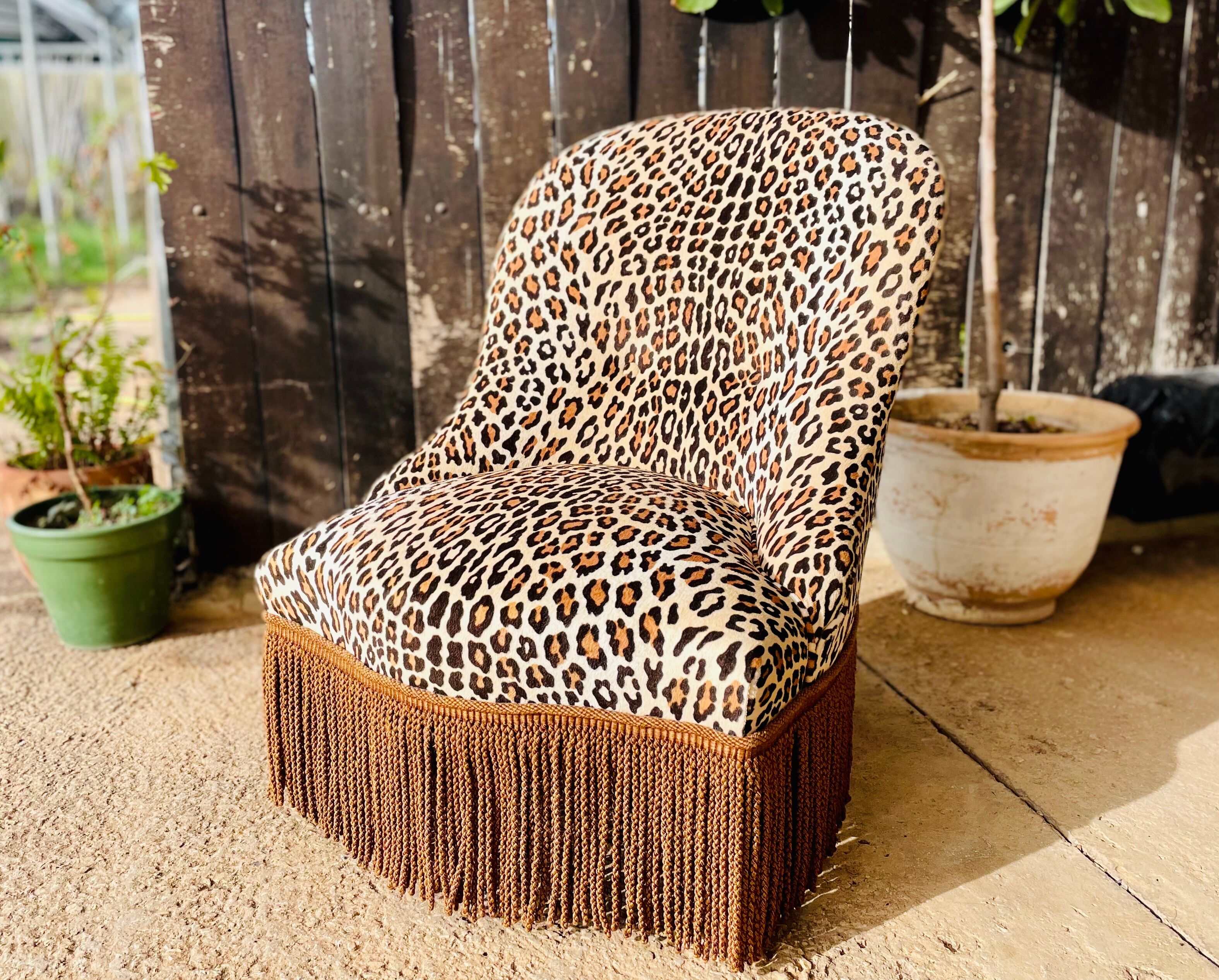 Leopard Toad Armchair