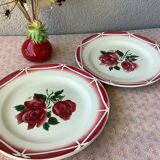 Plates Digoin Cibon Ironstone floral decoration