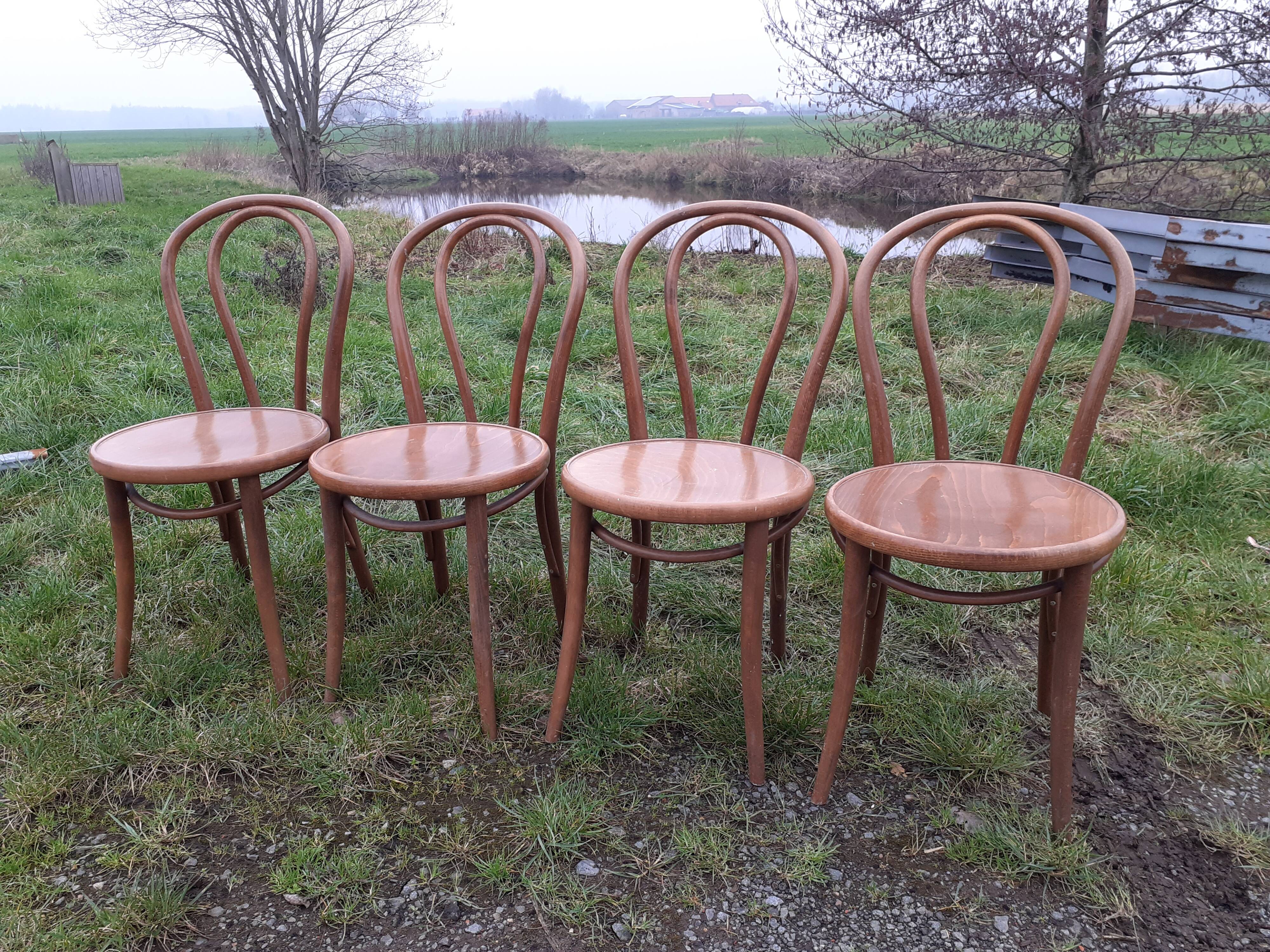 Thonet bistro chairs