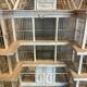Large old cage