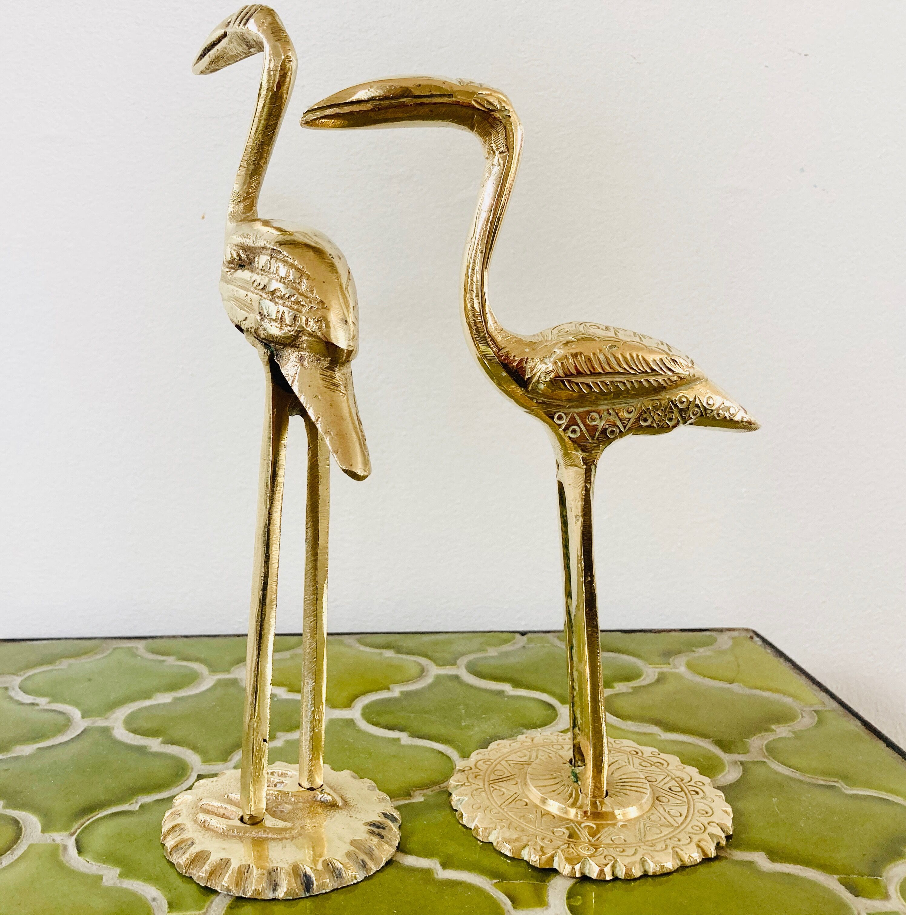 Couple of birds ibis or brass herons