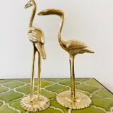 Couple of birds ibis or brass herons