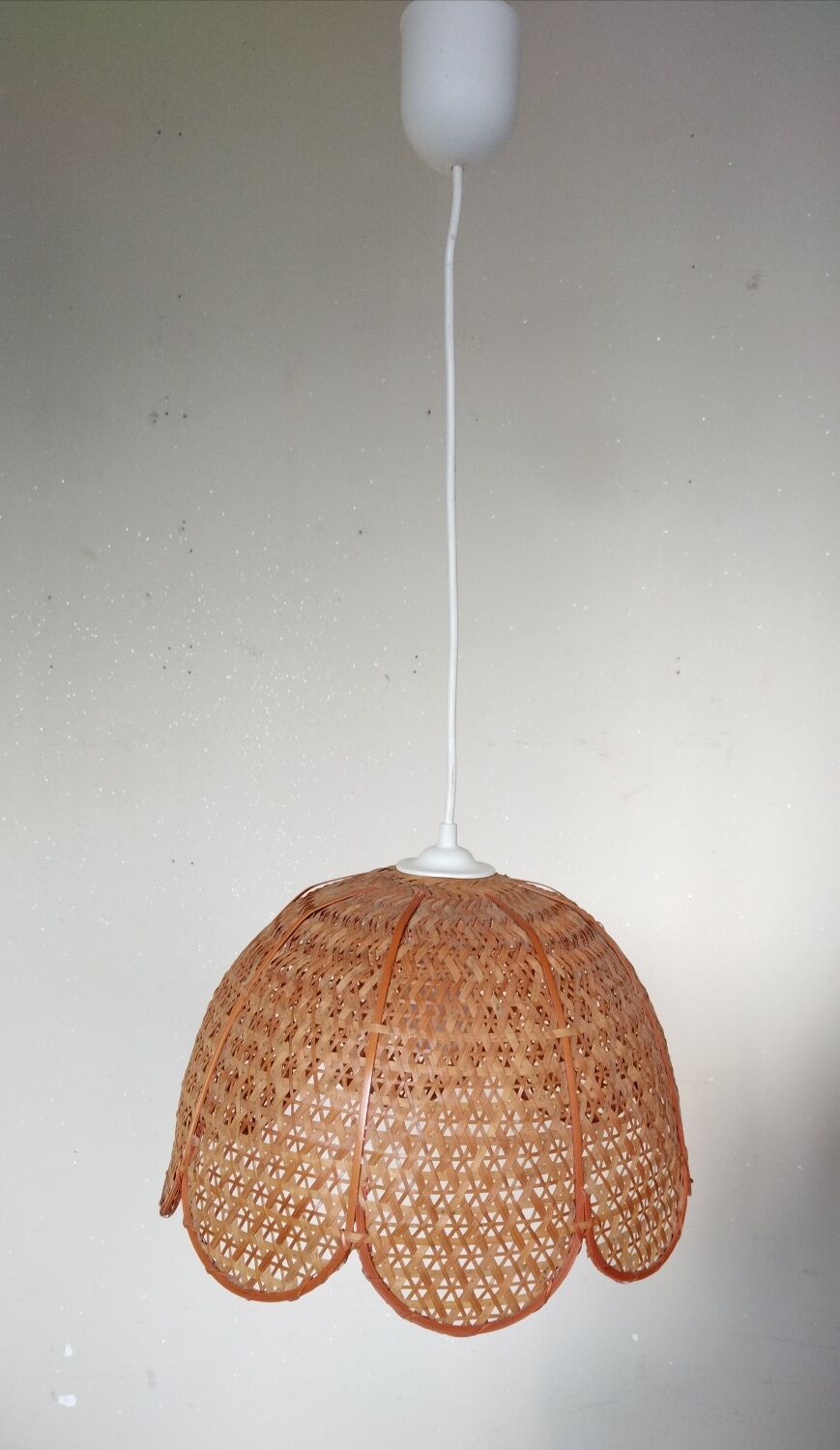 Rattan flower suspension