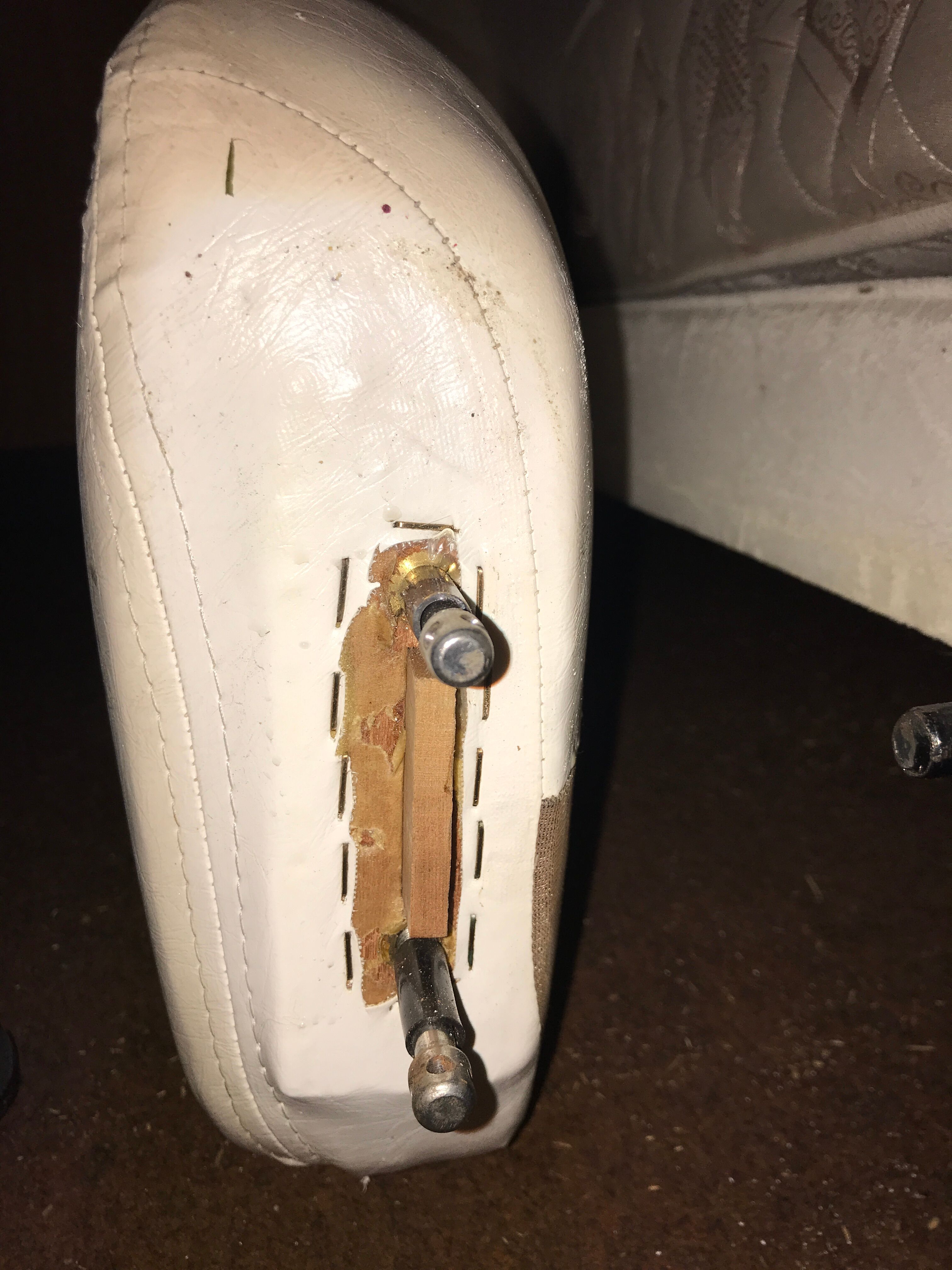 Anemone bed by Bernard Gauvin 1972