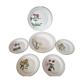 6 assiettes en porcelaine botanique vintage Seltmann Weiden de différentes tailles.