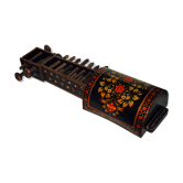 Sarangi-type vile India