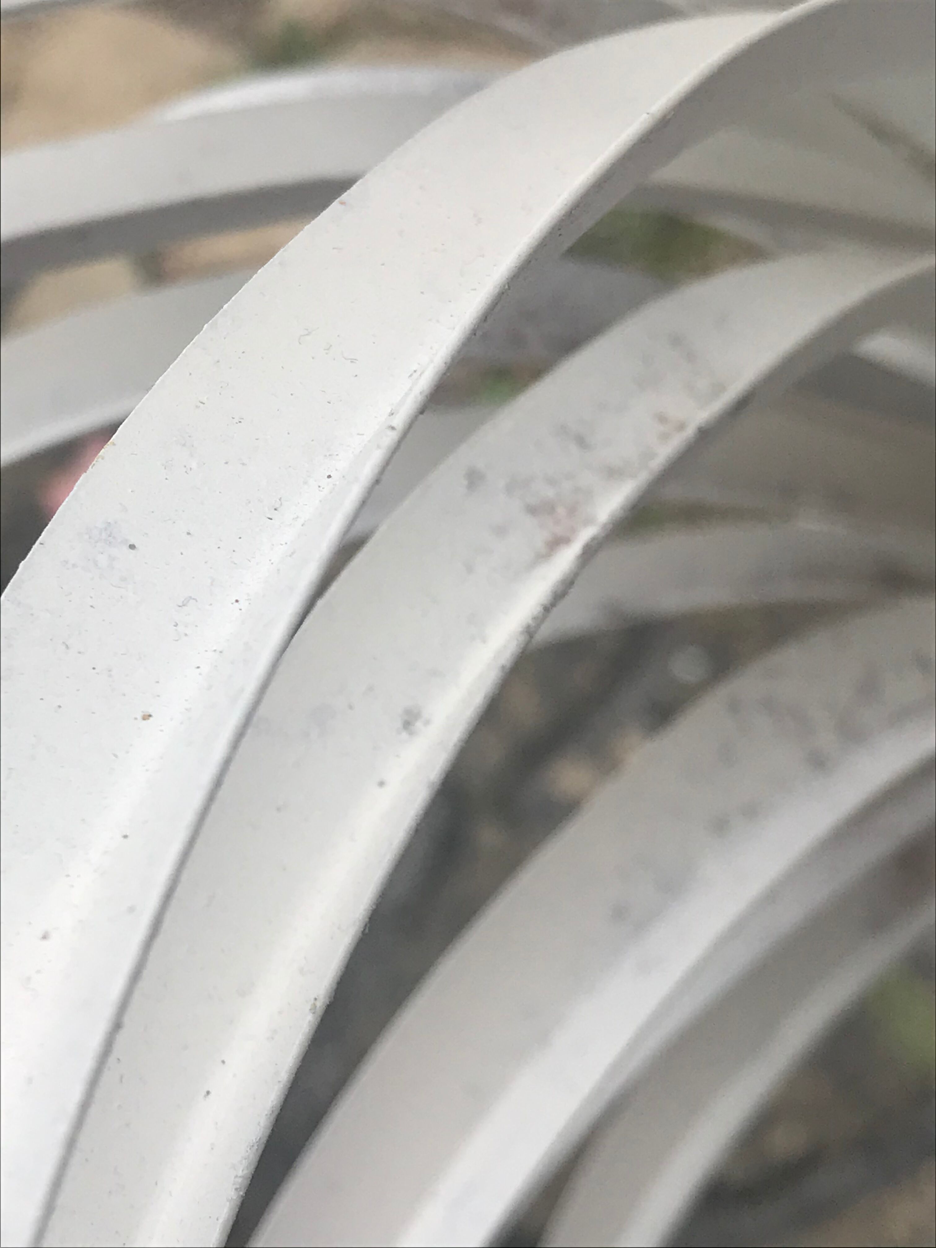 Palm lamppost by Sergio Terzani