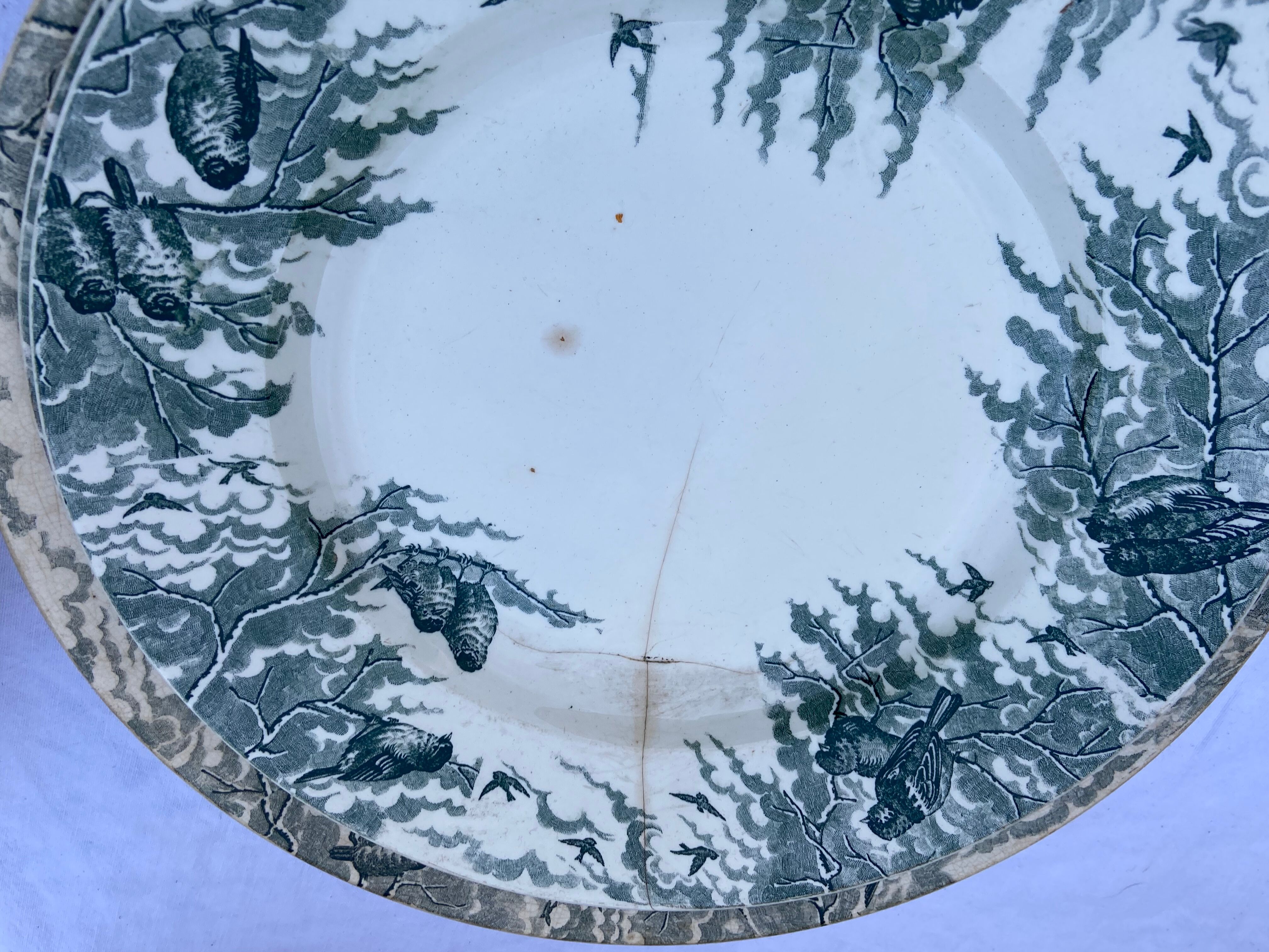 Service Sarreguemines 100 pieces