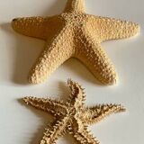 Vintage starfish