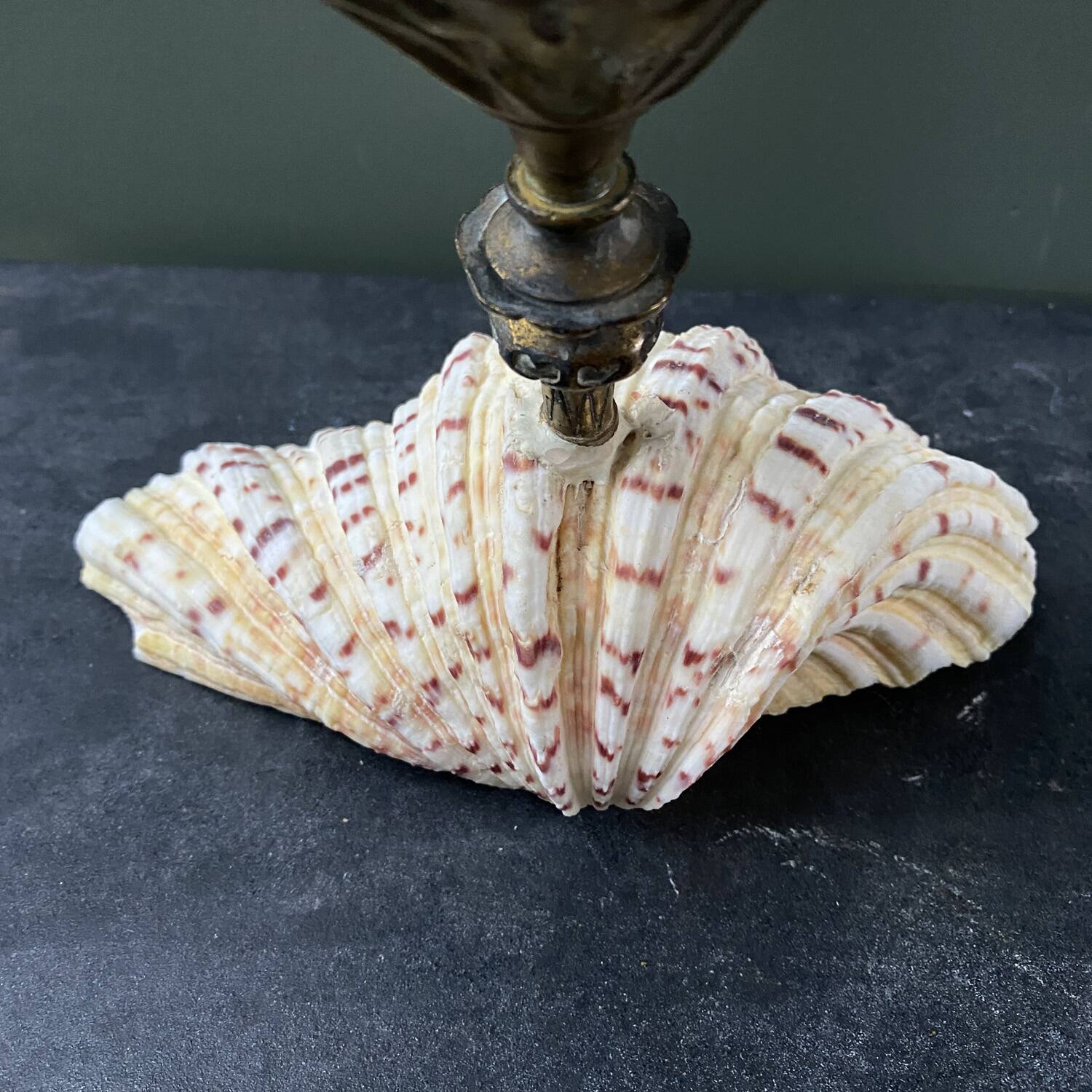 Holy water stoup shell on base