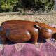 Banc hippopotame 1950