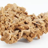 Rose des sables
