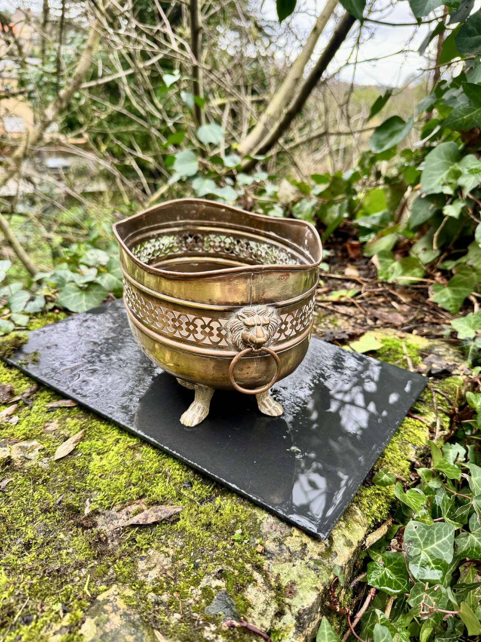 Large brass lion planter from the Napoleonic III era.