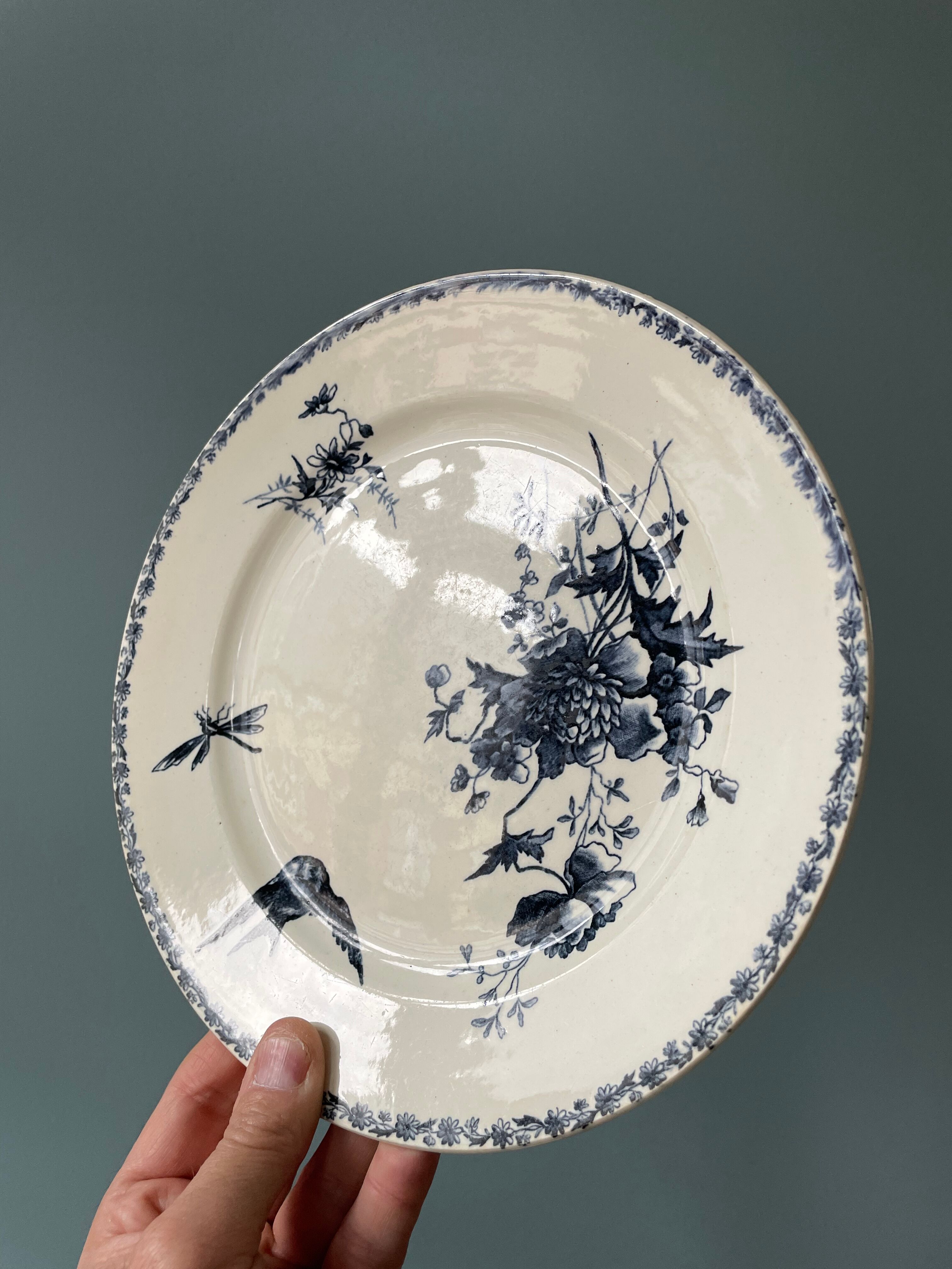 Series of 5 flat plates Terre de Fer HB and Cie Choisy Le Roi