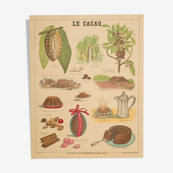 Affiche de gros Français scolaire Deyrolle - Cacao