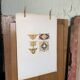 Ancient Oriental Lithography - Ornaments of Persia
