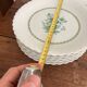 Flat Plates Porcelain Limoges Georges Boyer Nankin Green Pearl Edges