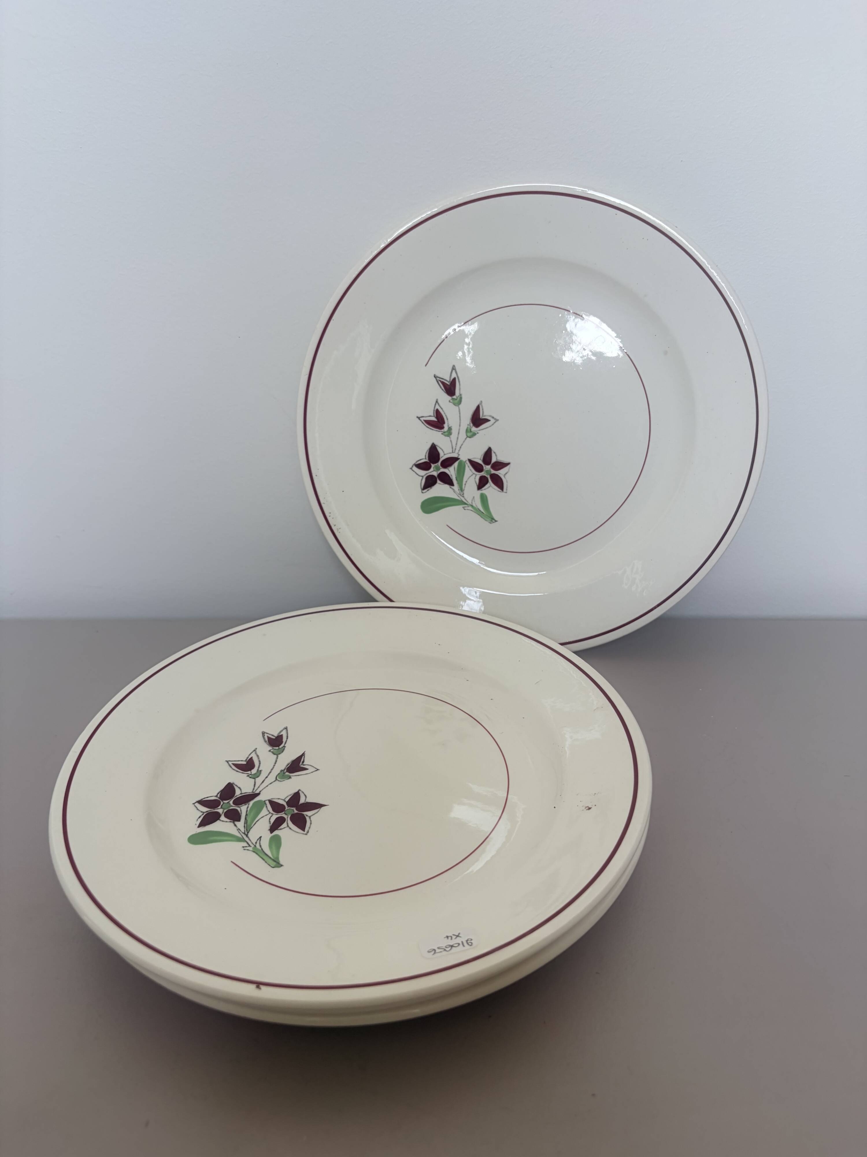 4 flat plates from Salins 210656
