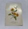 Gravure florale planche botanique vintage double face