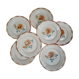 Set of 7 plates digoin Sarreguemines