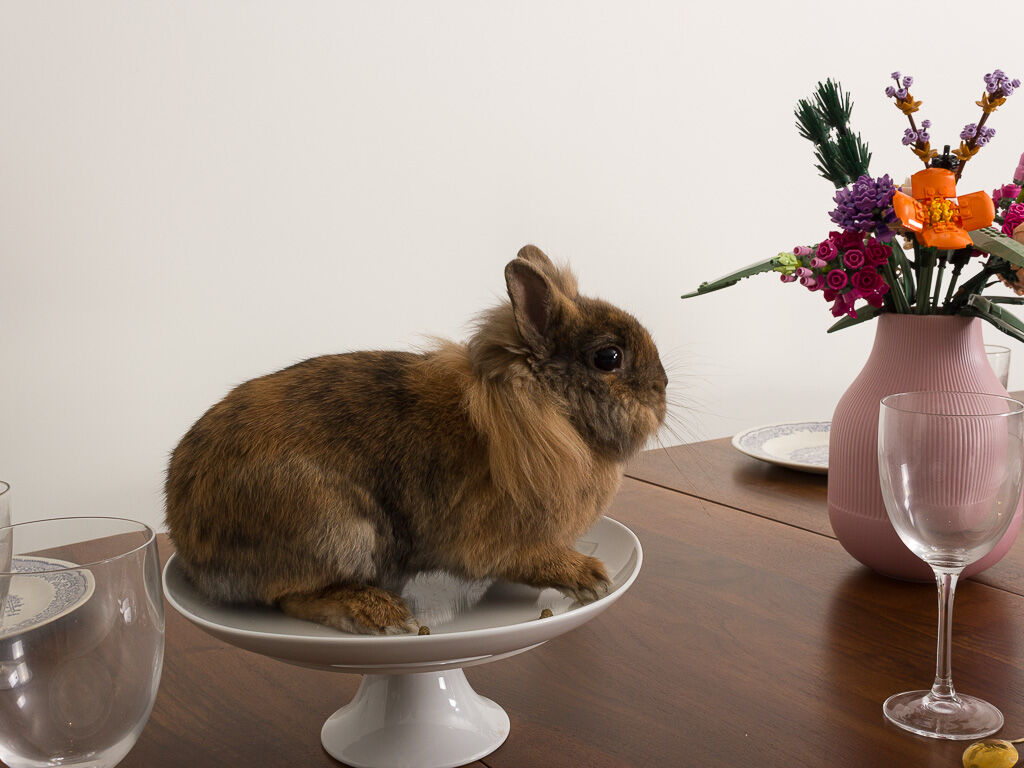 Custom-made solid walnut dining table with 4 extensions, for 6 to 16 people