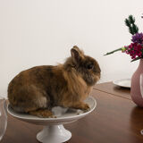Custom-made solid walnut dining table with 4 extensions, for 6 to 16 people