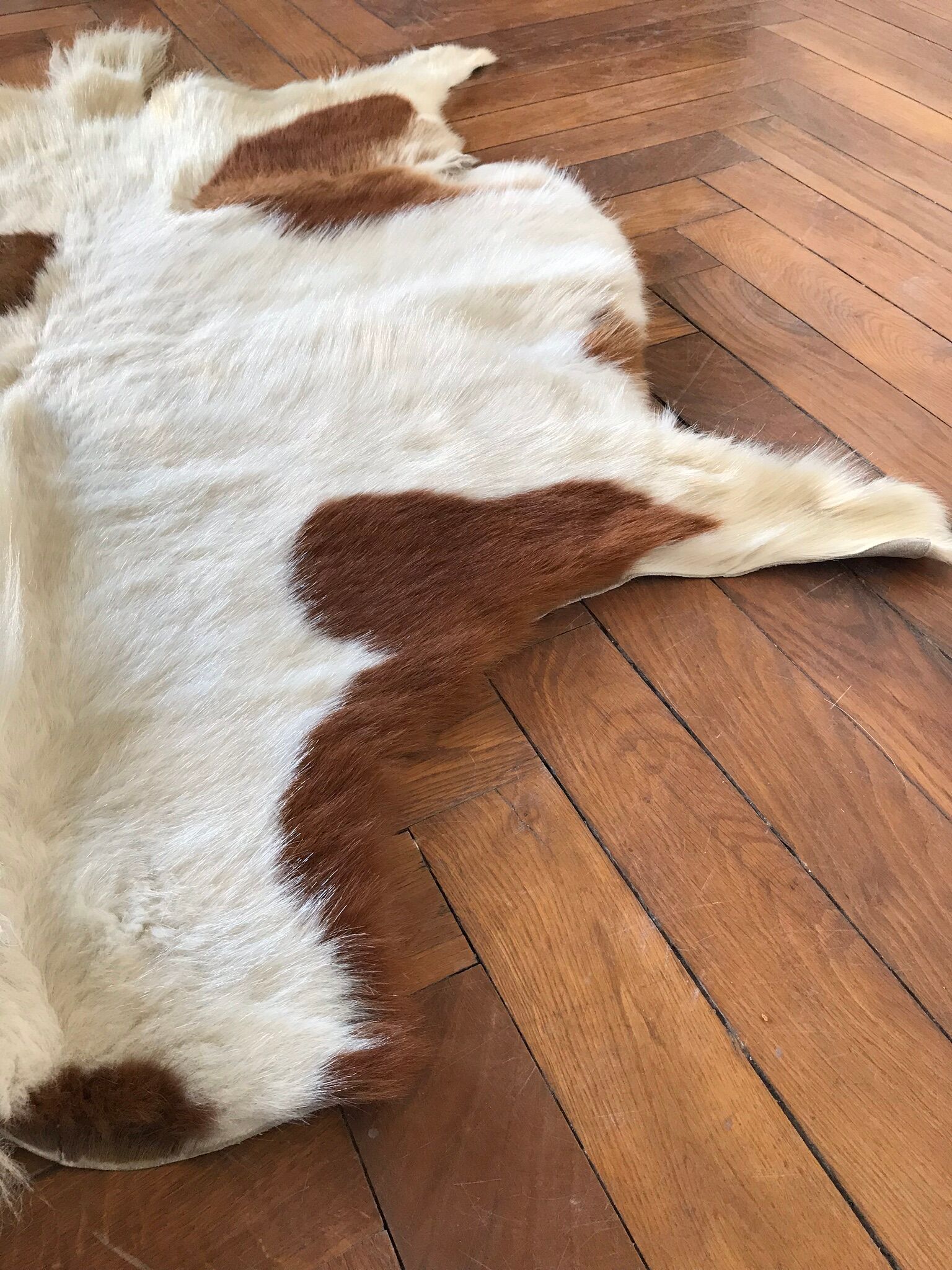 Pony skin 110x160cm