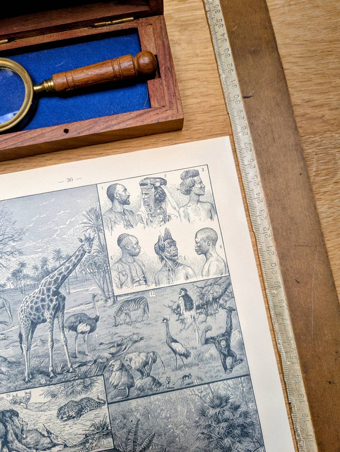 Printed in 1921, engravings of Africa.