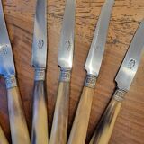 6 couteaux en corne