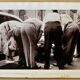 Dive into 1950s New York – Photography by Angelo Rizzuto