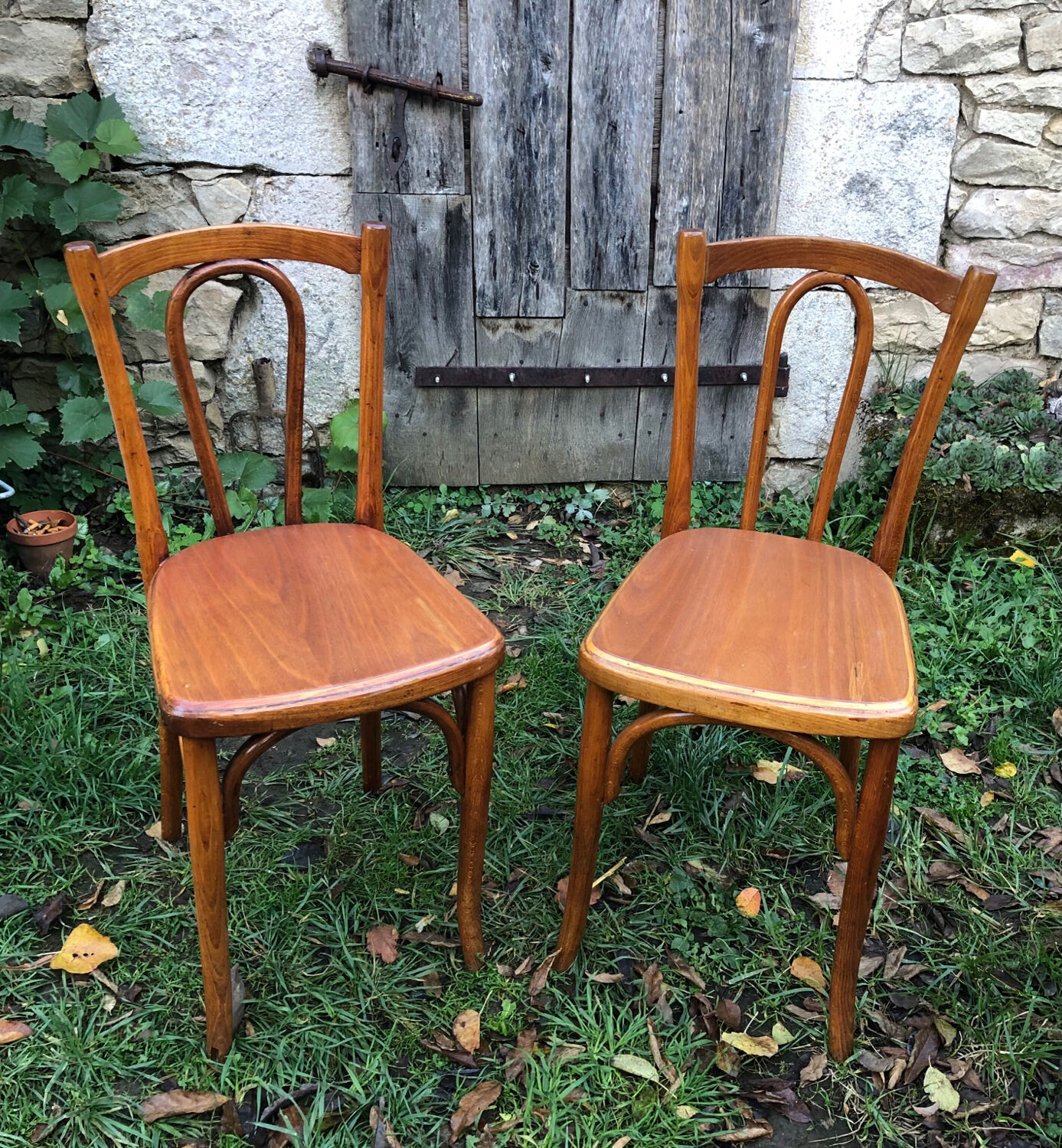 Varnished bistro chairs